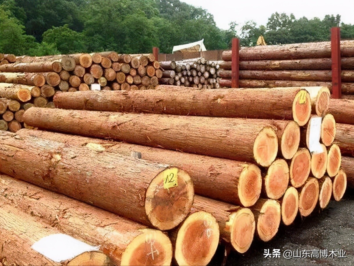 如何挑选实木家具:木材的弦切与径切--高密高博木业家具